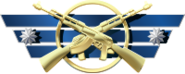 Guardiao Mestre de Elite
